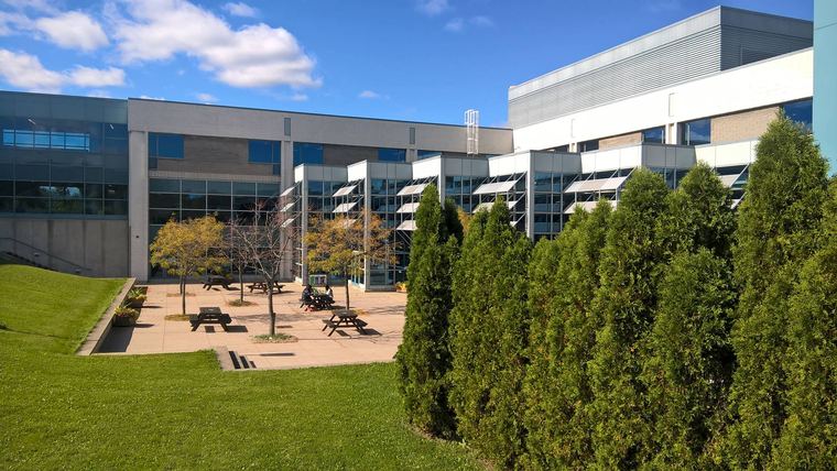 Lambton College
