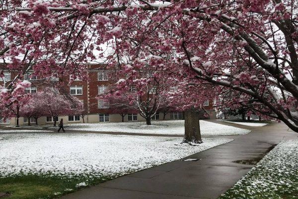 Lipscomb University