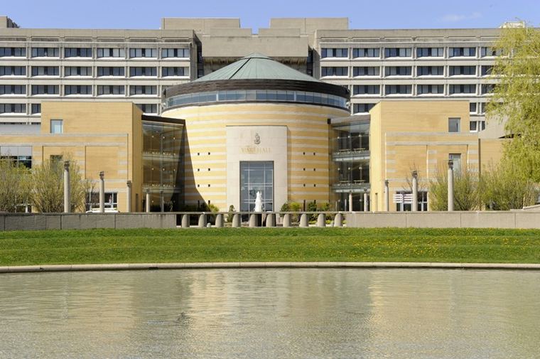 York University