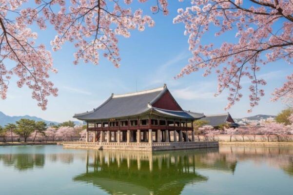 Study in South Korea