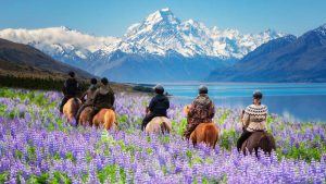 Study in New Zealand