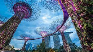 Study in Singapore