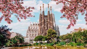 Study in Spain